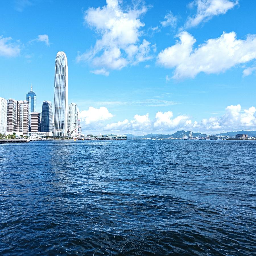 海边散步所见2022.6.23(图35)