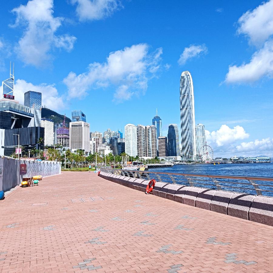 海边散步所见2022.6.23(图38)