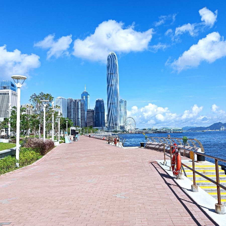 海边散步所见2022.6.23(图41)