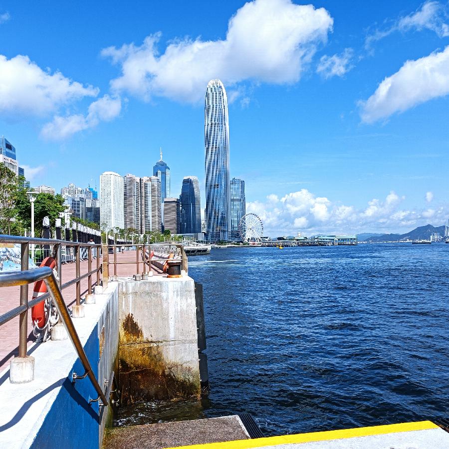 海边散步所见2022.6.23(图42)
