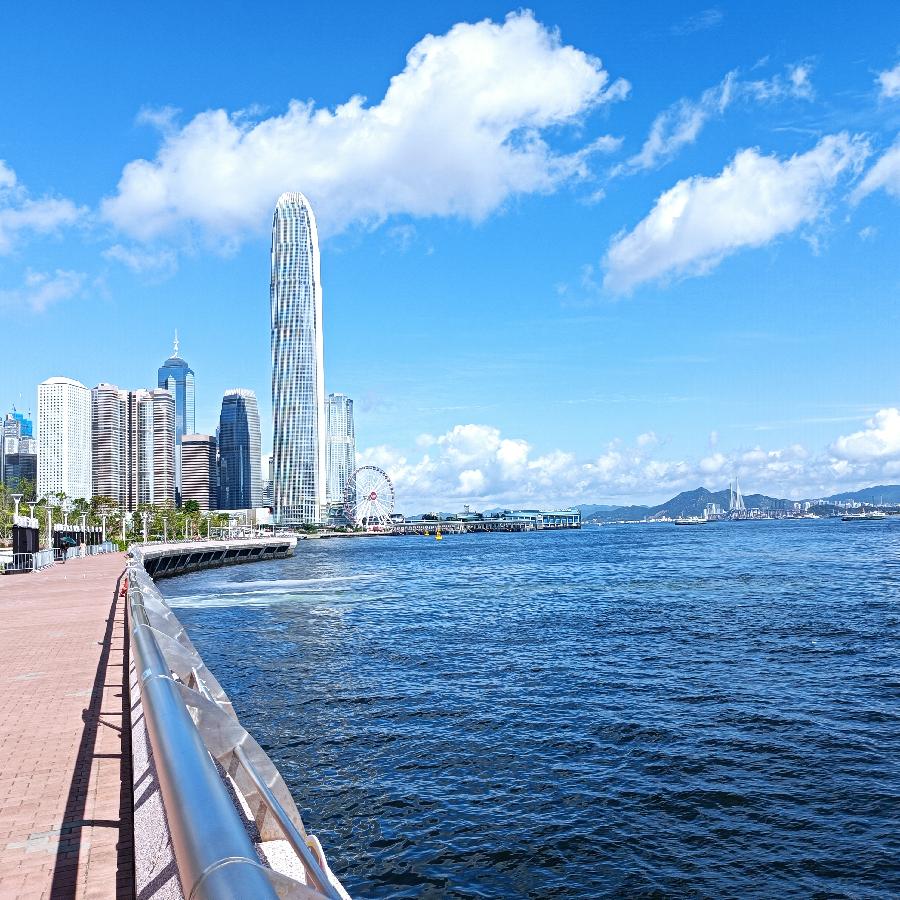 海边散步所见2022.6.23(图43)