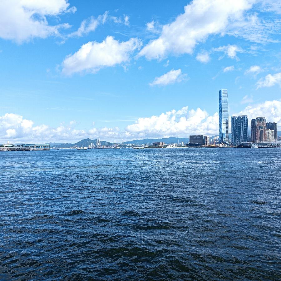 海边散步所见2022.6.23(图44)