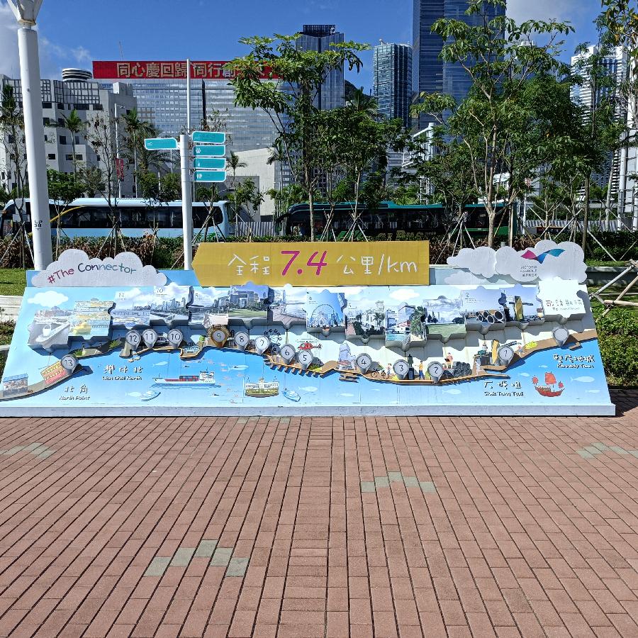海边散步所见2022.6.23(图45)