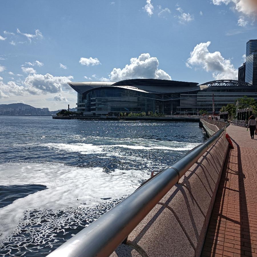 海边散步所见2022.6.23(图48)