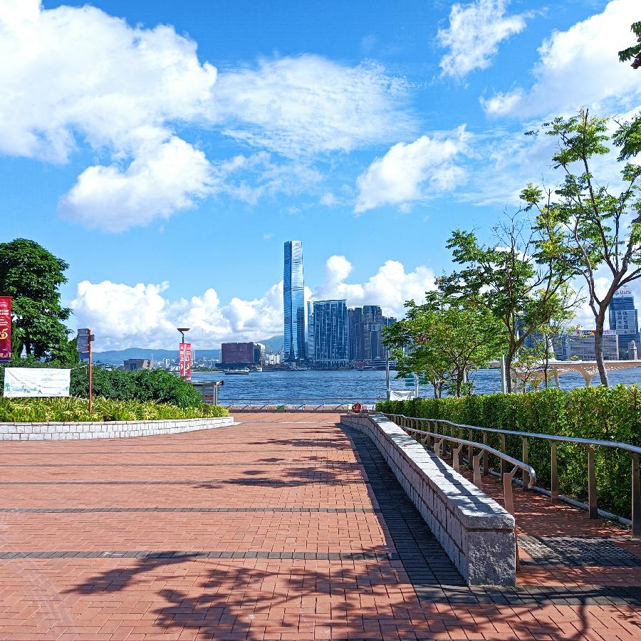 海边散步所见2022.6.23(图52)