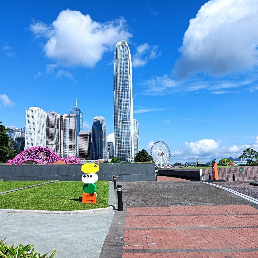 海边散步所见2022.6.23(图53)