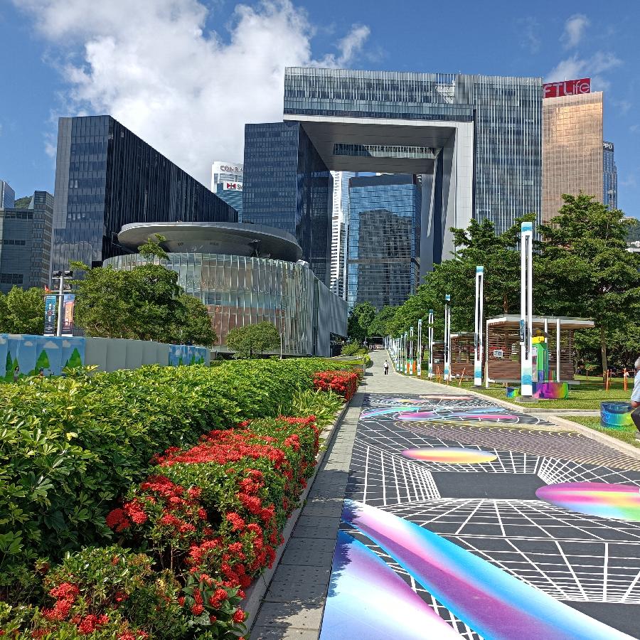 海边散步所见2022.6.23(图54)