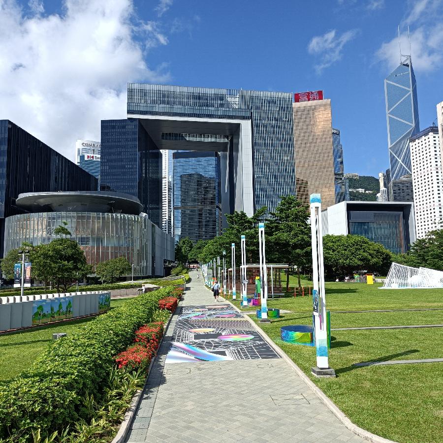 海边散步所见2022.6.23(图56)
