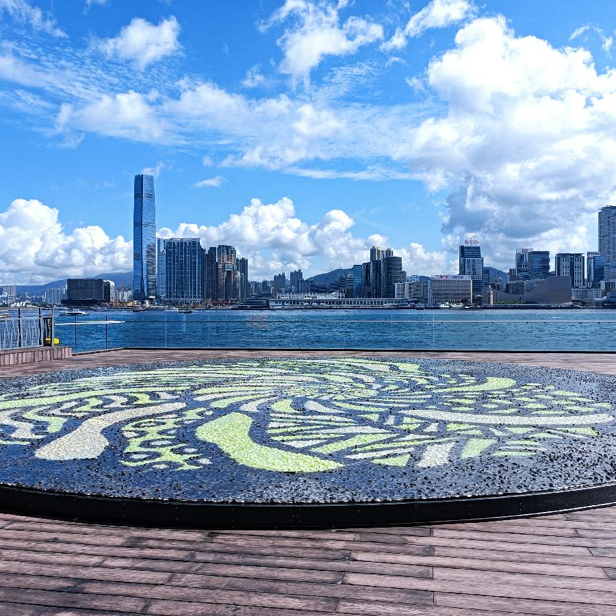 海边散步所见2022.6.23(图55)