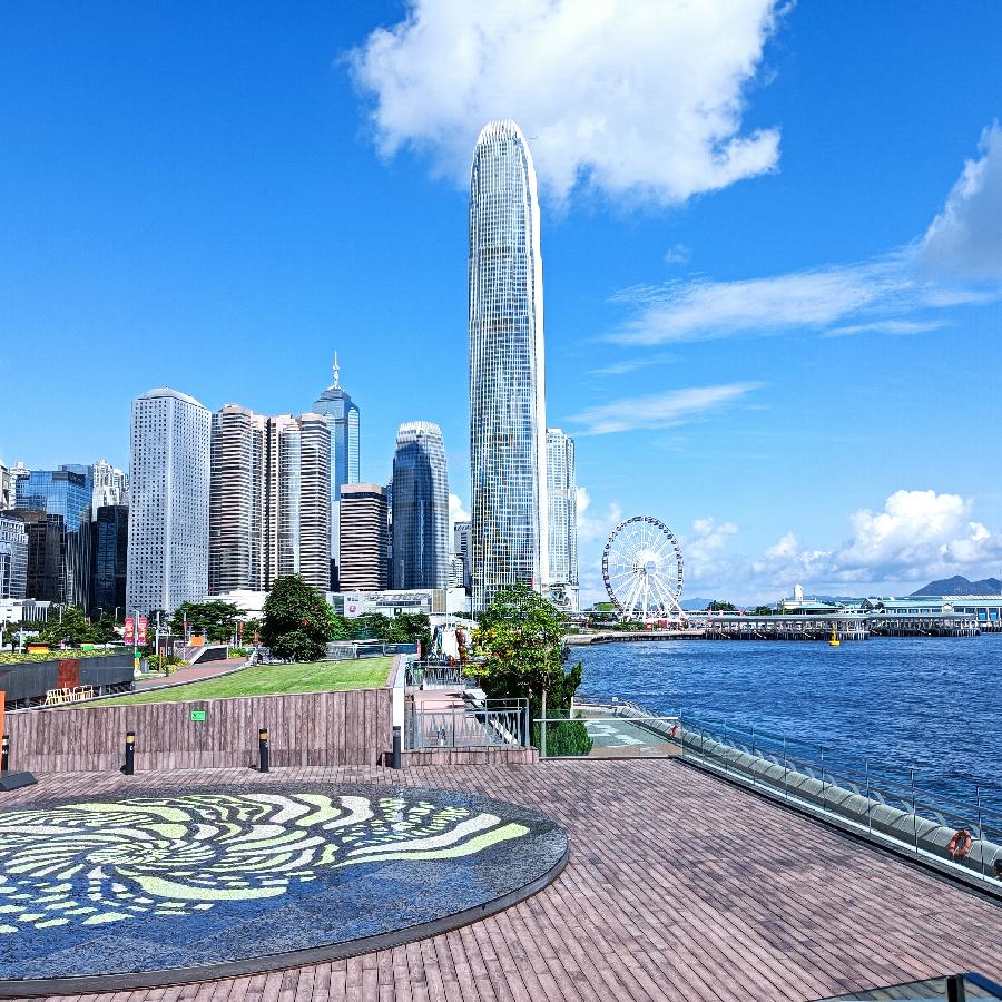 海边散步所见2022.6.23(图59)