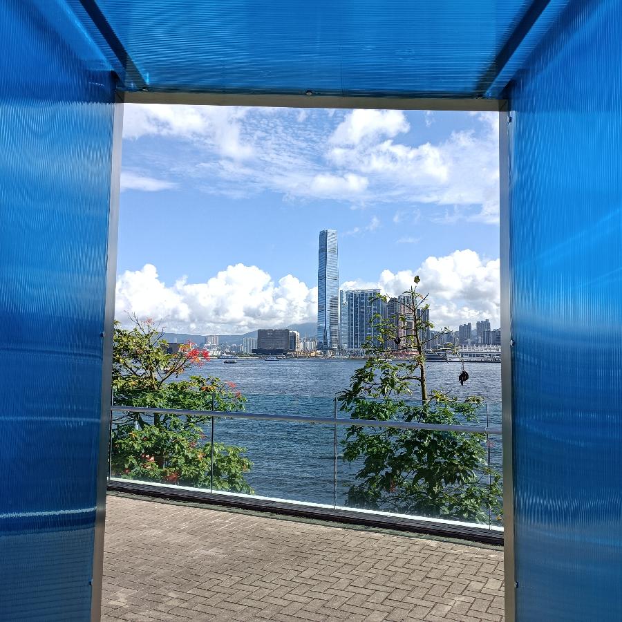 海边散步所见2022.6.23(图58)