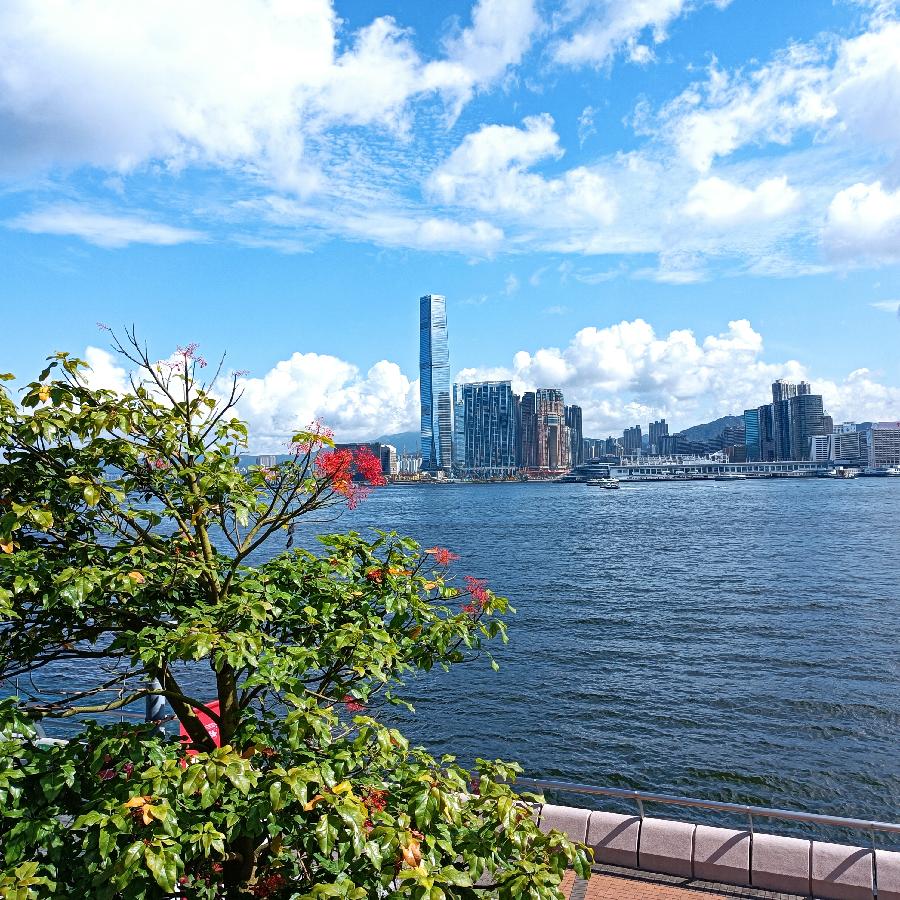海边散步所见2022.6.23(图60)