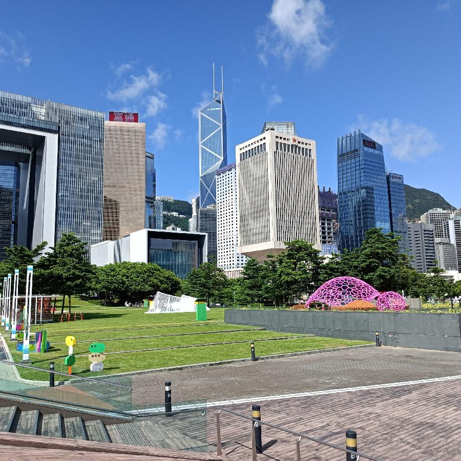 海边散步所见2022.6.23(图62)