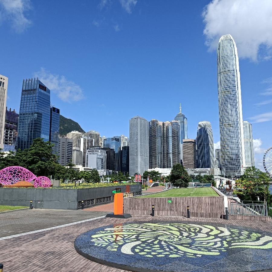 海边散步所见2022.6.23(图63)