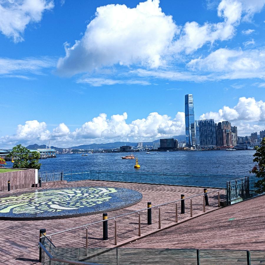 海边散步所见2022.6.23(图66)