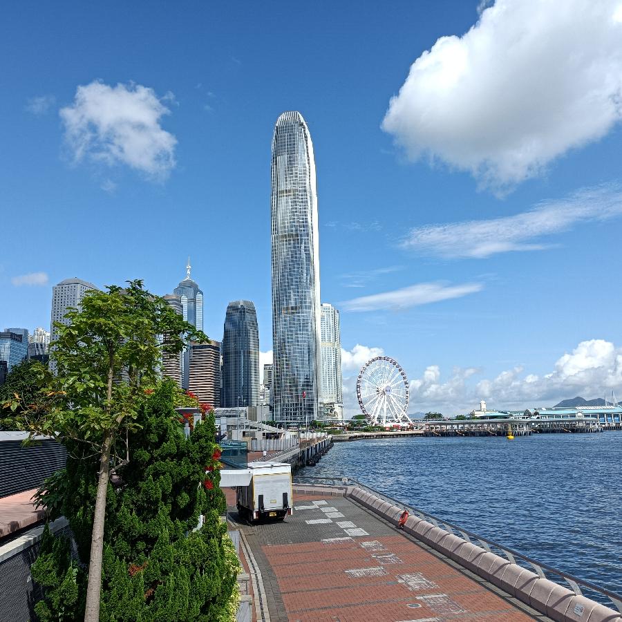 海边散步所见2022.6.23(图70)
