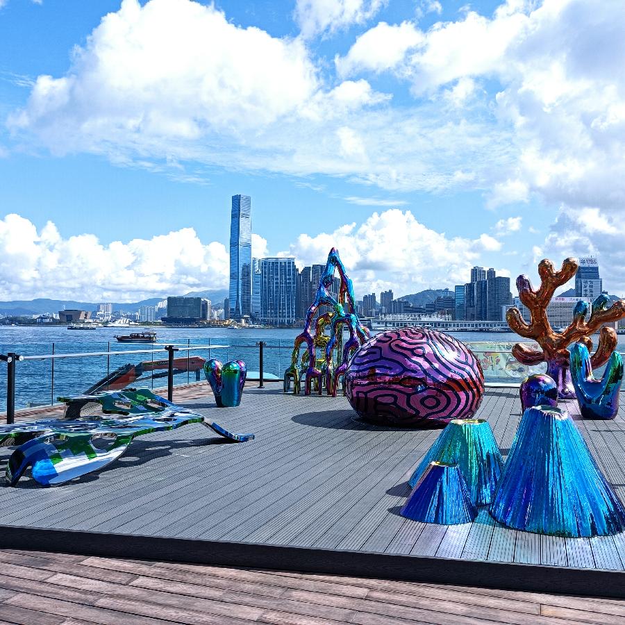 海边散步所见2022.6.23(图71)