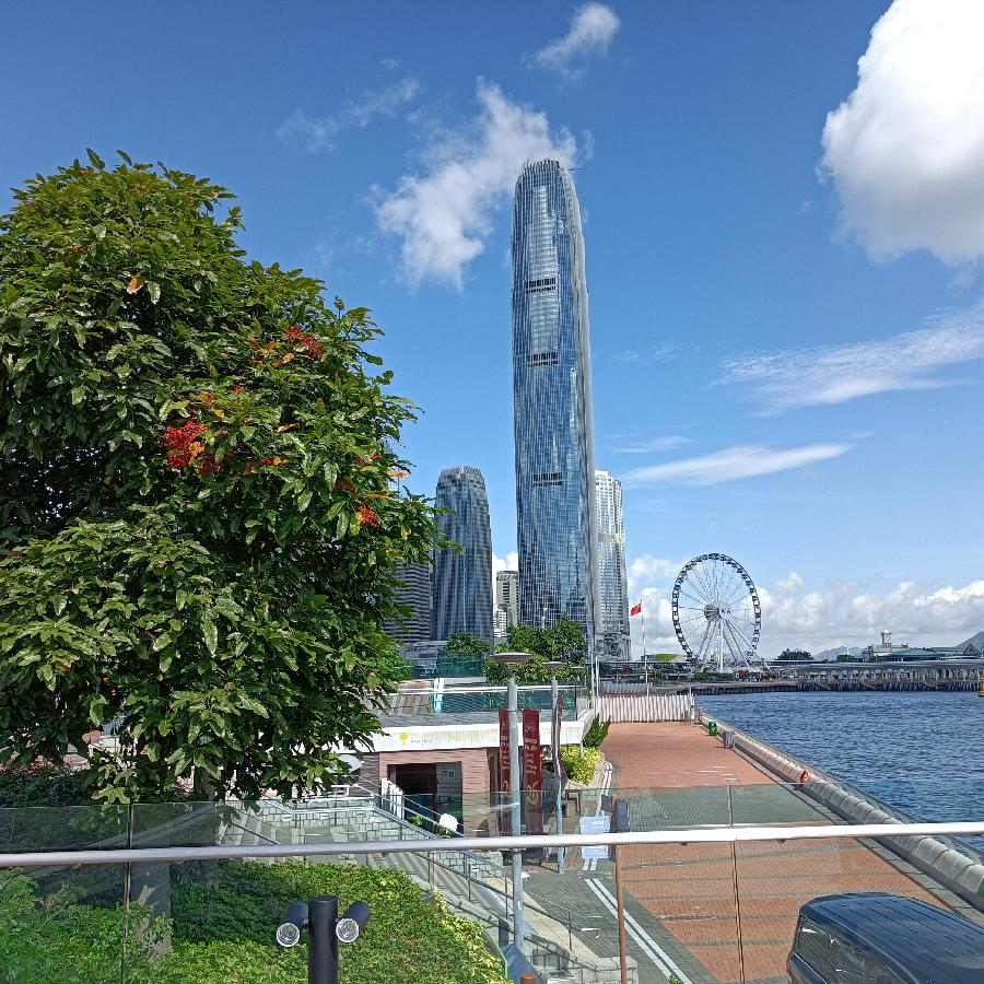 海边散步所见2022.6.23(图72)