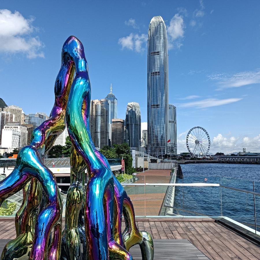 海边散步所见2022.6.23(图74)