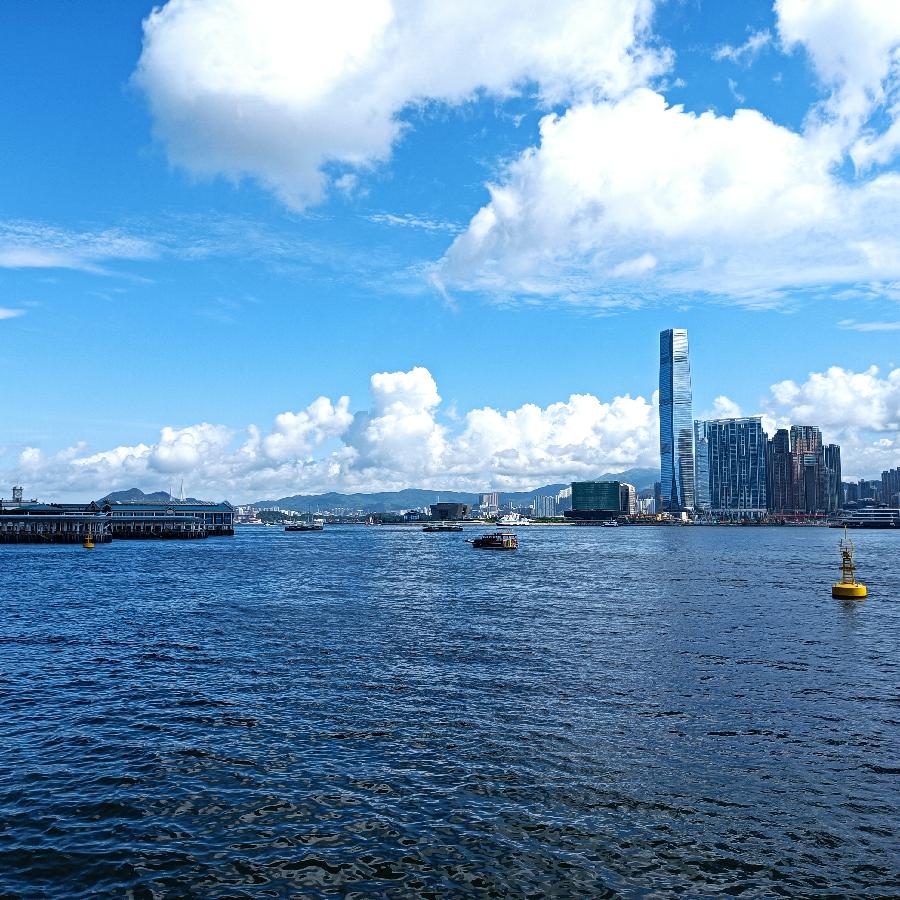 海边散步所见2022.6.23(图75)