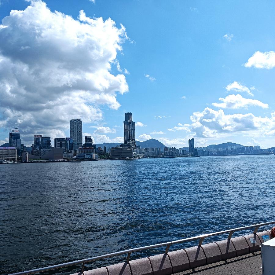 海边散步所见2022.6.23(图76)