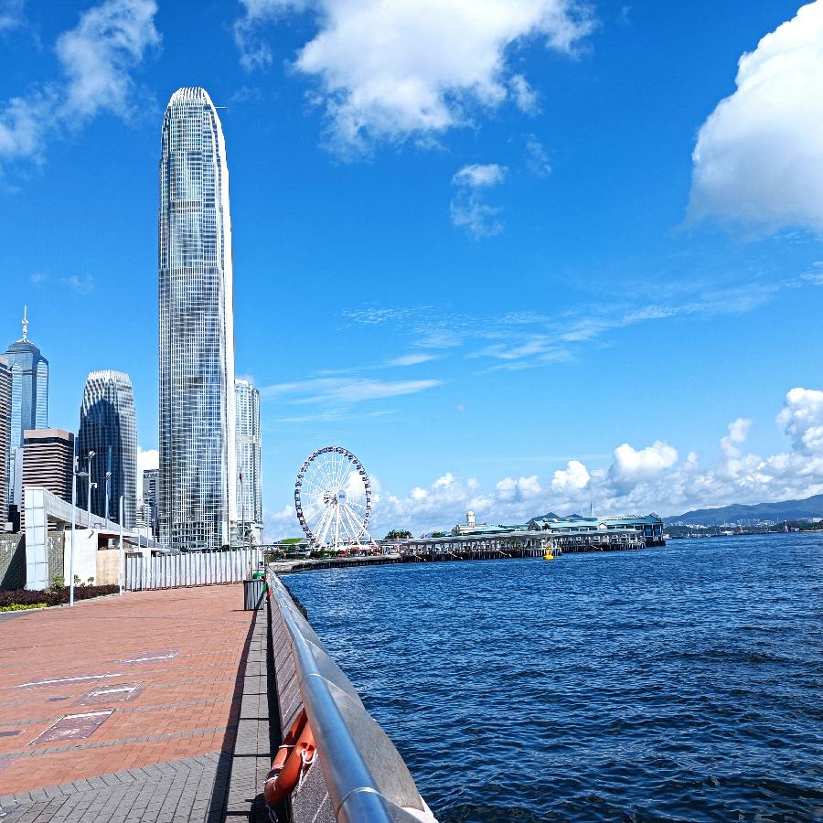 海边散步所见2022.6.23(图78)