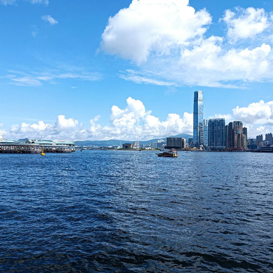 海边散步所见2022.6.23(图79)