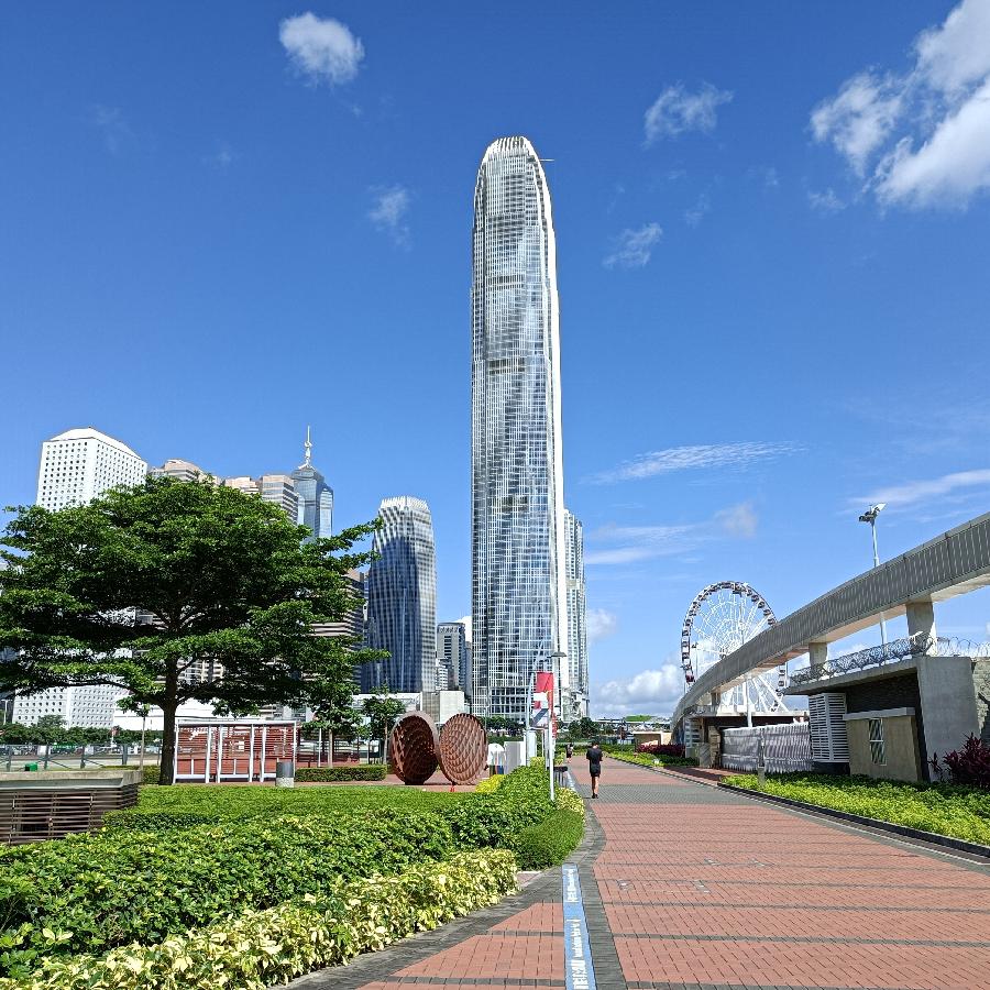 海边散步所见2022.6.23(图81)