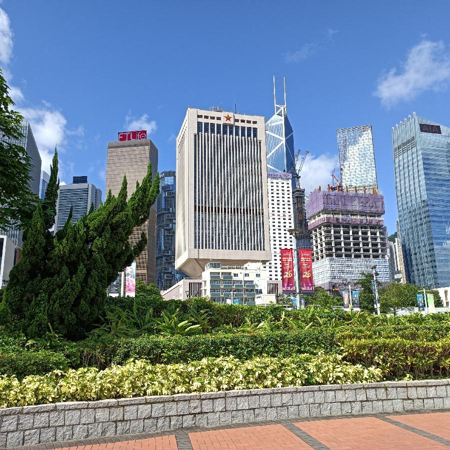 海边散步所见2022.6.23(图80)