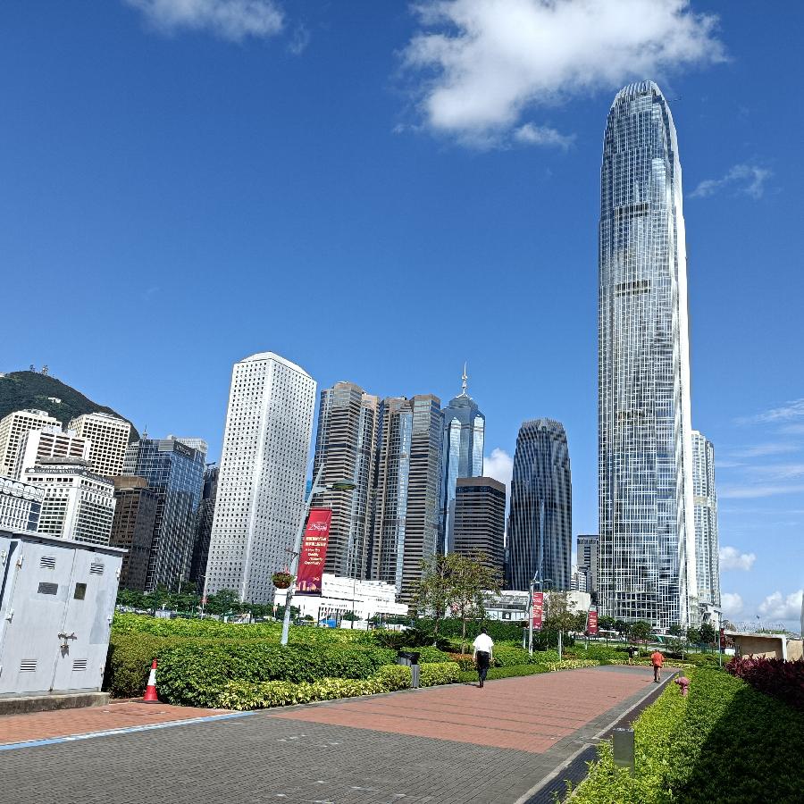 海边散步所见2022.6.23(图84)