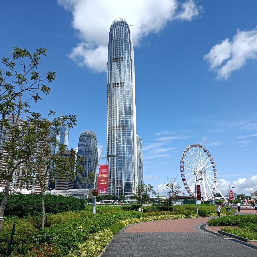 海边散步所见2022.6.23(图86)