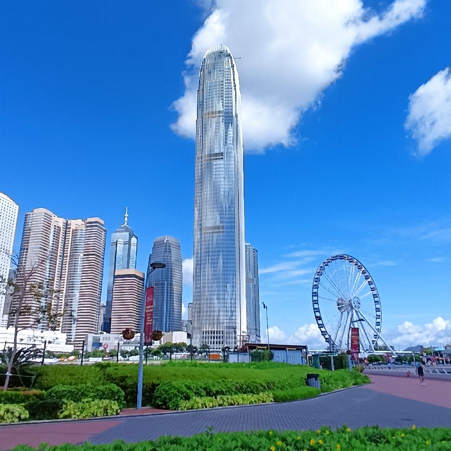 海边散步所见2022.6.23(图87)