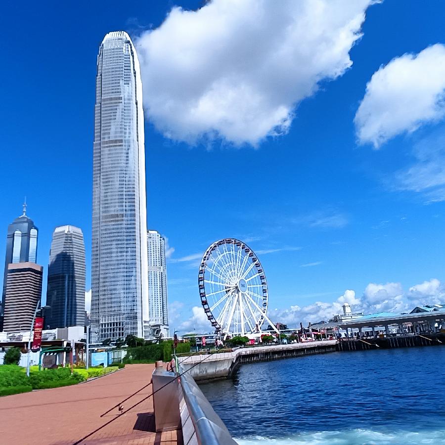 海边散步所见2022.6.23(图90)