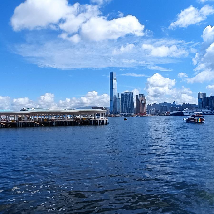 海边散步所见2022.6.23(图91)
