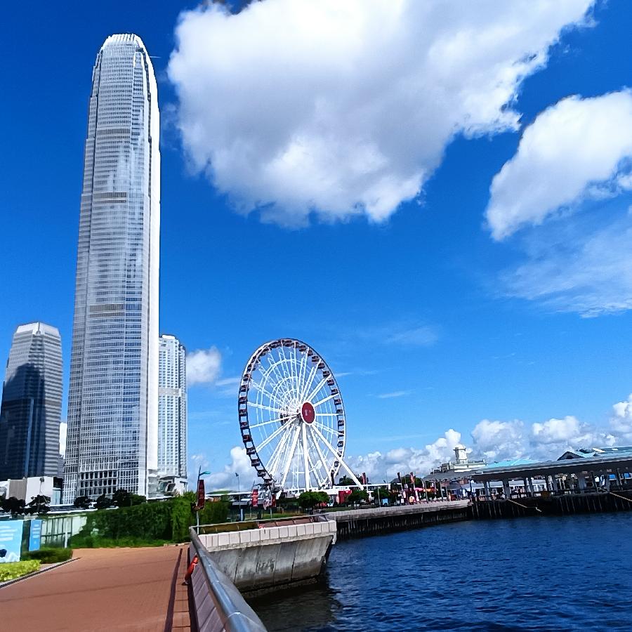 海边散步所见2022.6.23(图92)
