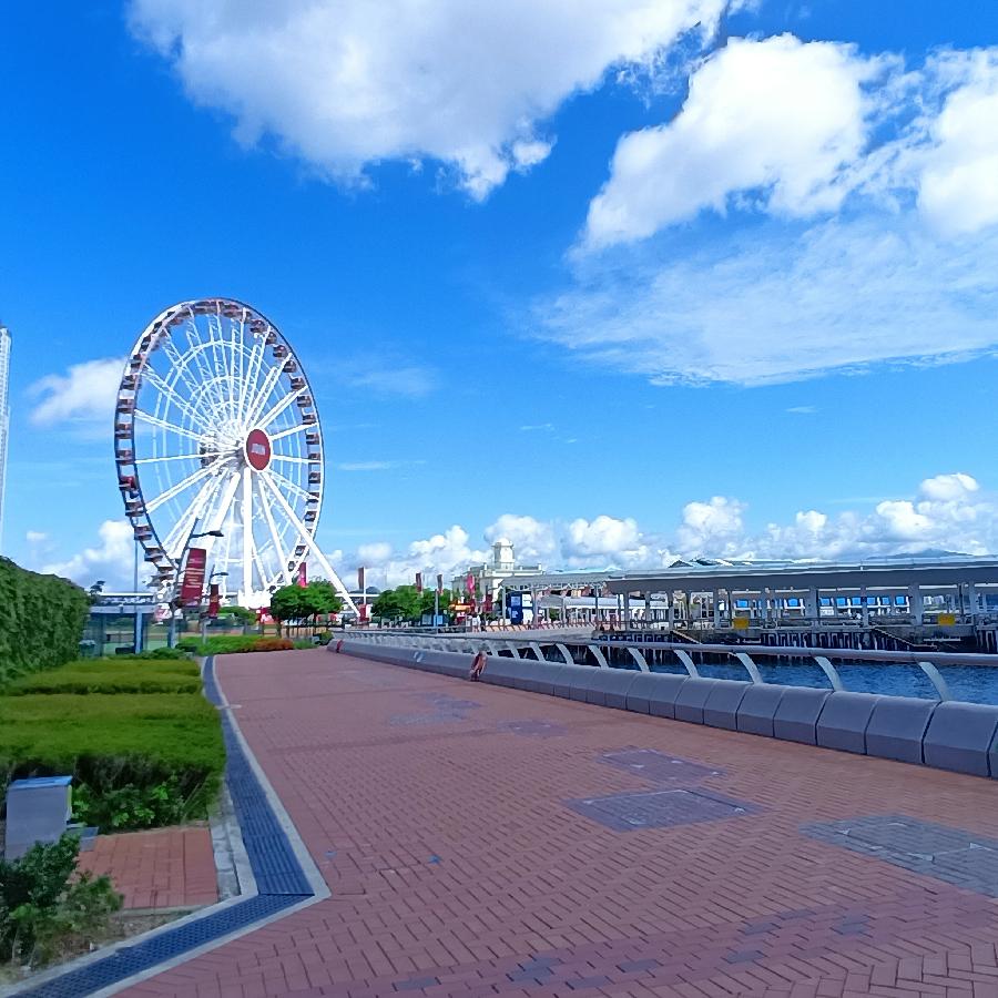 海边散步所见2022.6.23(图93)