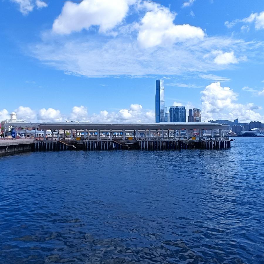 海边散步所见2022.6.23(图94)