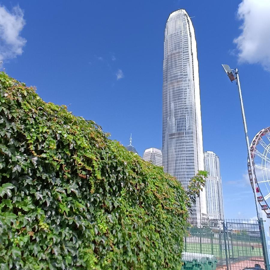 海边散步所见2022.6.23(图95)