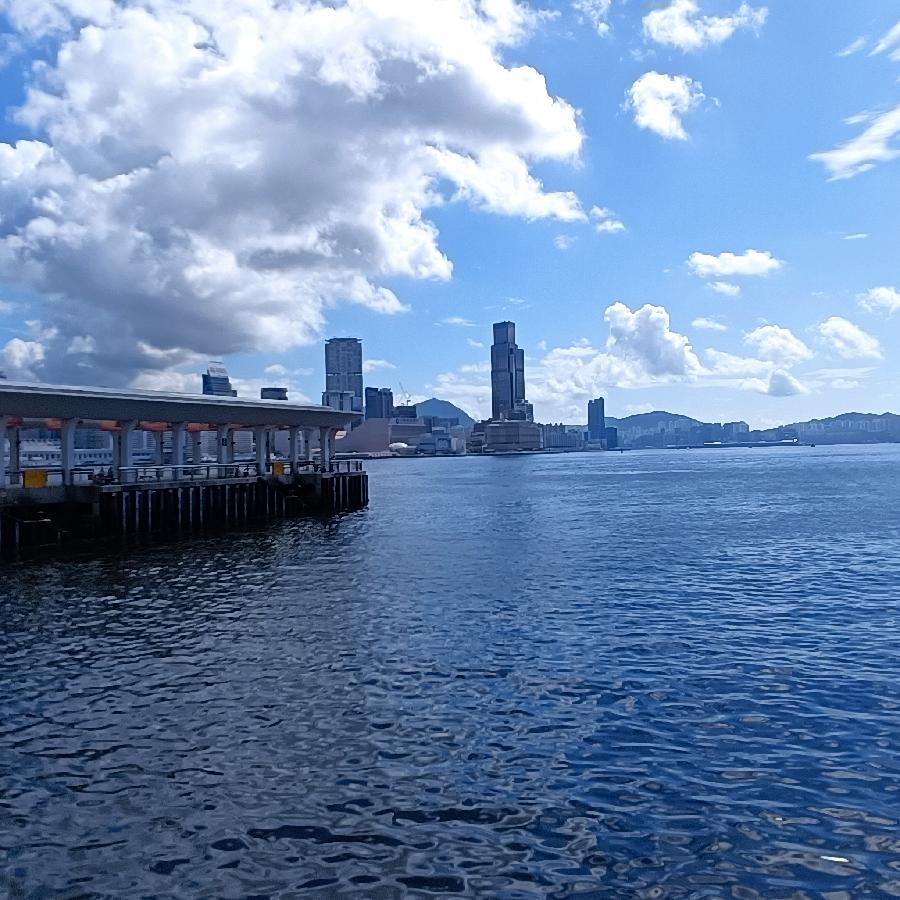 海边散步所见2022.6.23(图98)