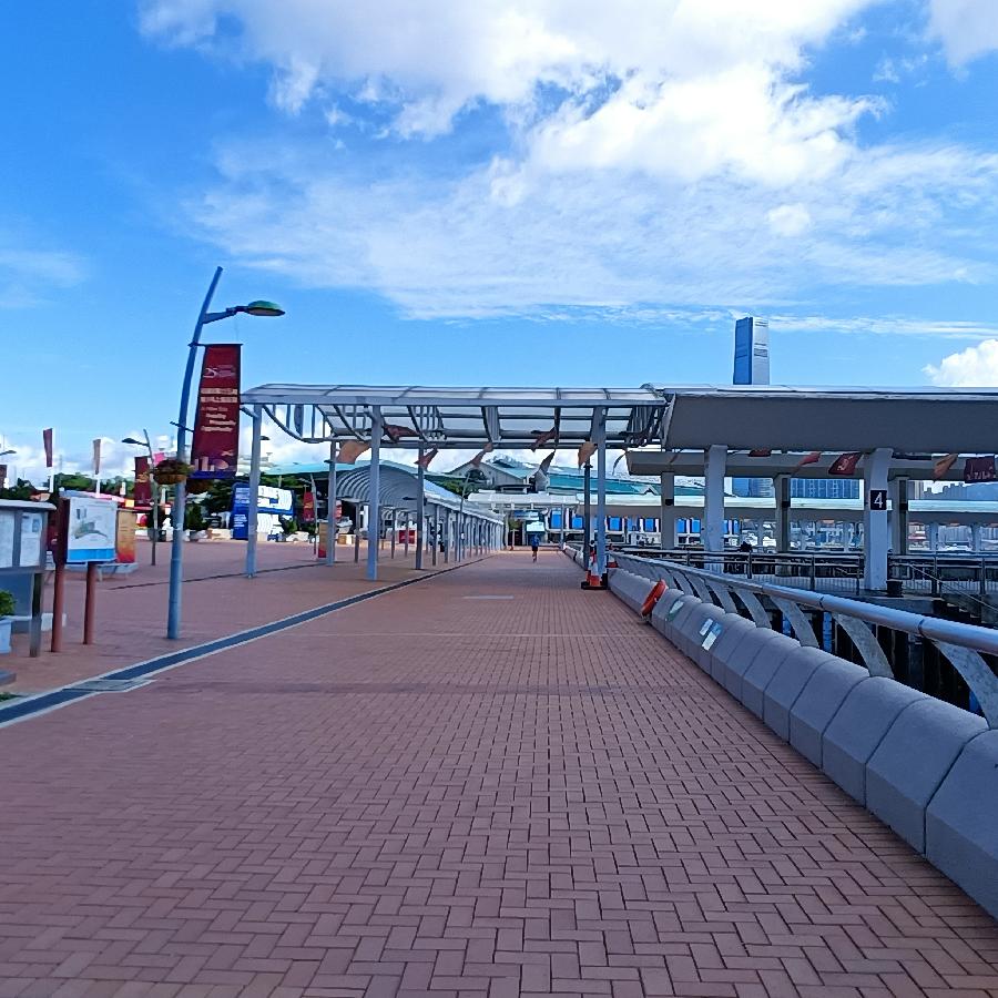 海边散步所见2022.6.23(图99)