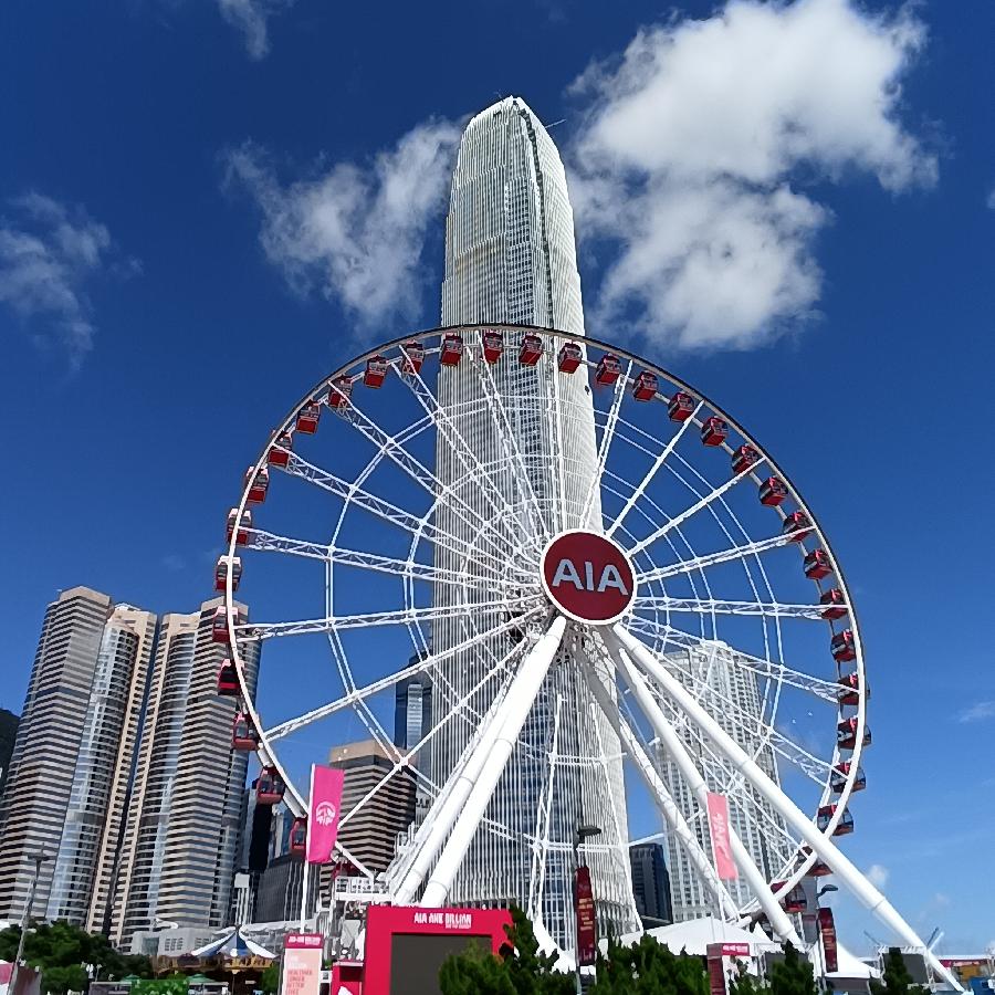 海边散步所见2022.6.23(图103)