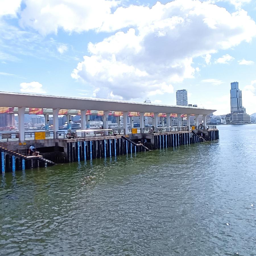 海边散步所见2022.6.23(图105)