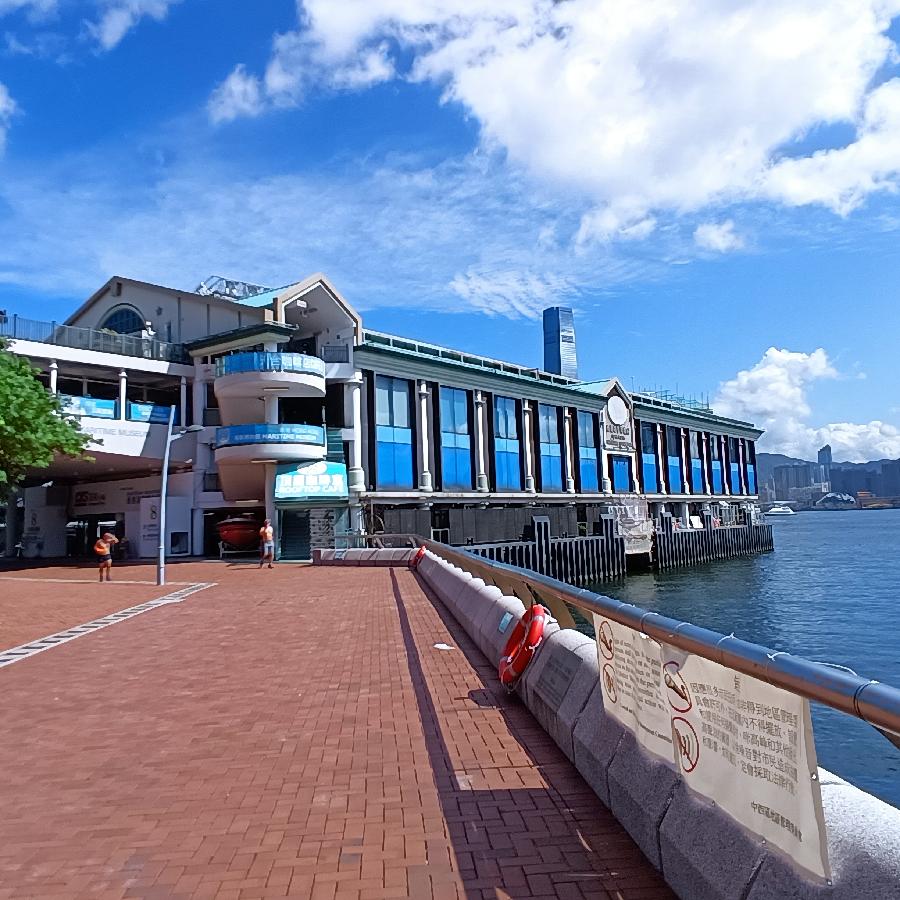 海边散步所见2022.6.23(图110)