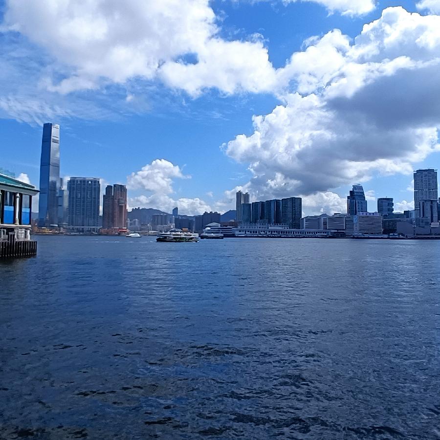 海边散步所见2022.6.23(图109)
