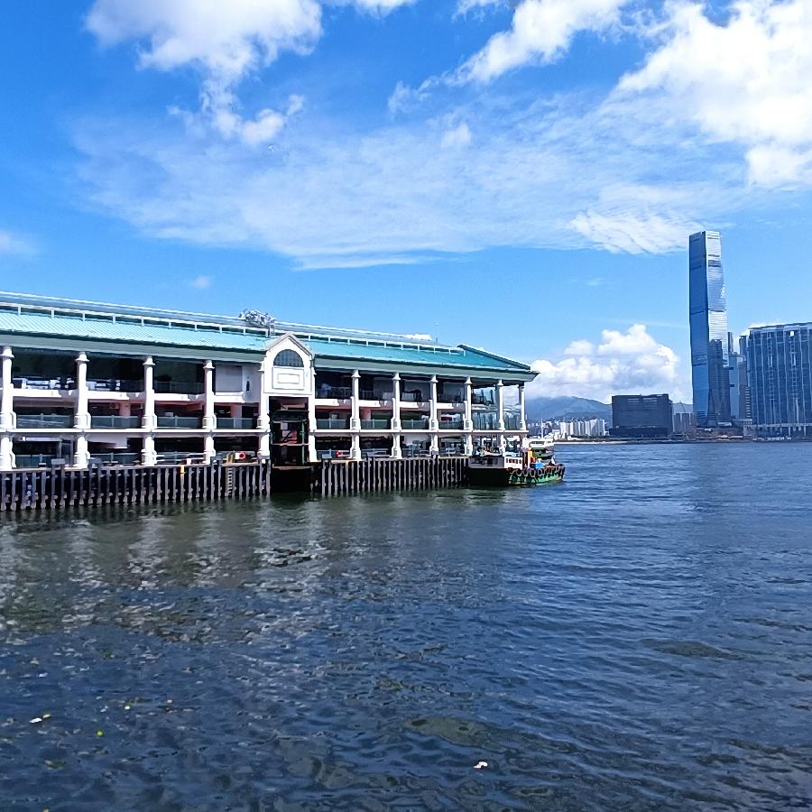 海边散步所见2022.6.23(图112)