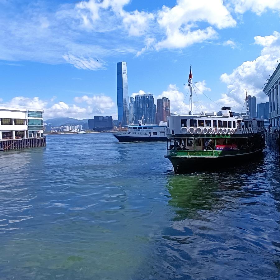 海边散步所见2022.6.23(图116)