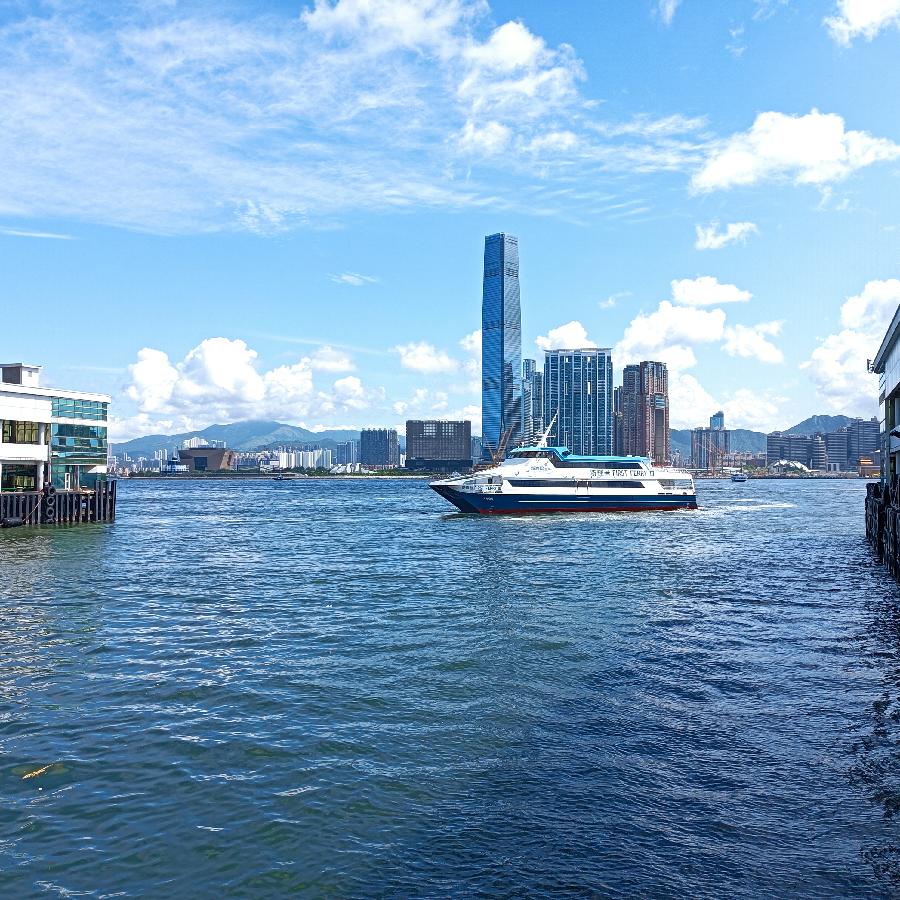 海边散步所见2022.6.23(图120)
