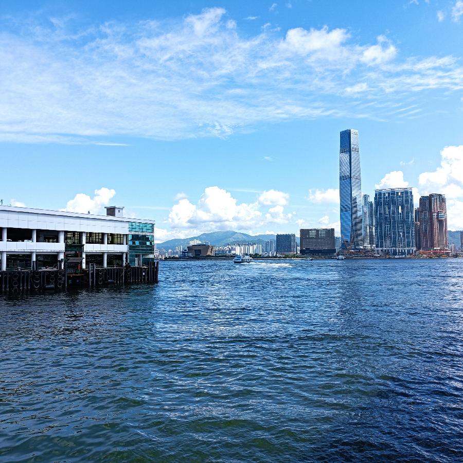 海边散步所见2022.6.23(图122)