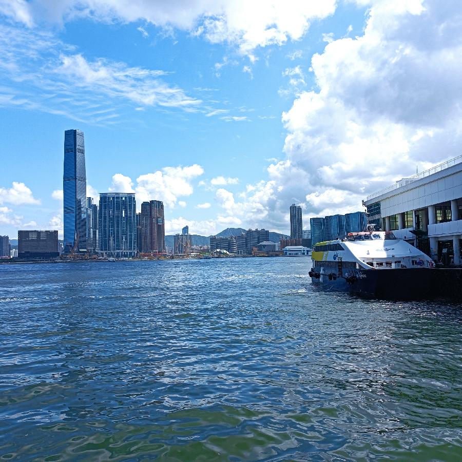 海边散步所见2022.6.23(图123)
