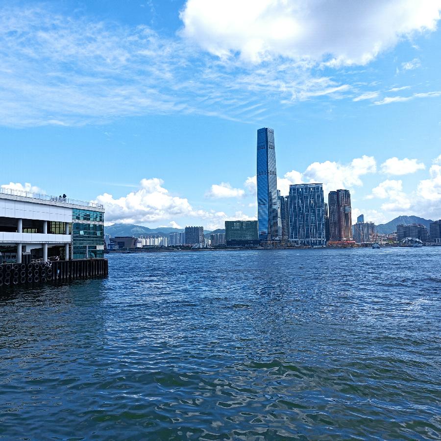 海边散步所见2022.6.23(图127)